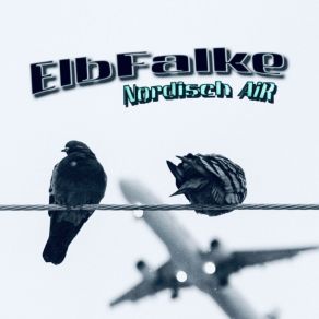 Download track Ausblick ElbFalke