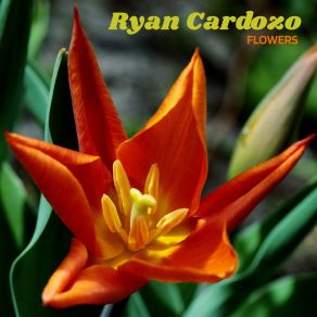 Download track Free To Be Happy Ryan Cardoso