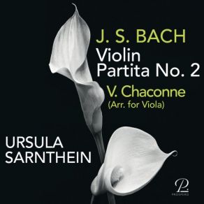 Download track Partita No. 2 For Violin- V. Chaconne (Arr. For Viola) Ursula Sarnthein