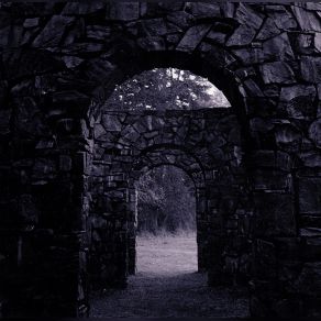 Download track Through The Gardens And The Archways Where Lovers Rot