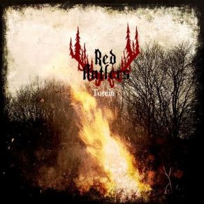 Download track Stag Red Antlers