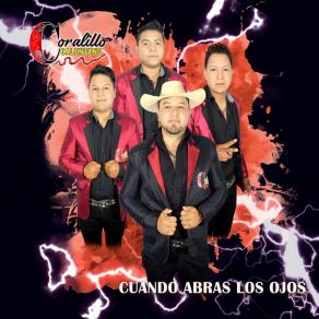 Download track Fue Tan Poco Tu Cariño Coralillo Calentano