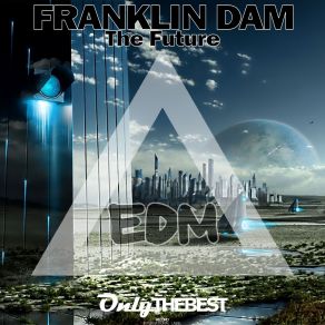 Download track The Future Franklin Dam