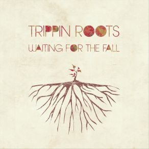 Download track Light Up Your Gown Trippin Roots