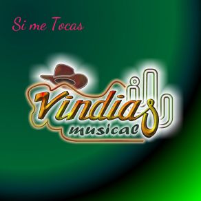 Download track Voy A Tirarme A Los Vicios Vindias Musical