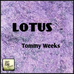 Download track Lotus (Original Mix) Tommy Weeks