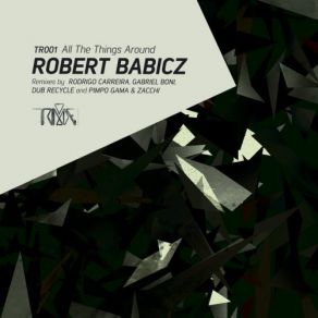 Download track All The Things Around (Dub Recycle Re-Everything Mix) Robert Babicz