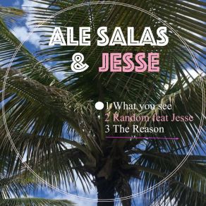 Download track What You See (Original Mix) Ale Salas