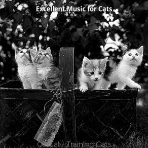 Download track Fun (Cute Kittens) Excellent Music For Cats