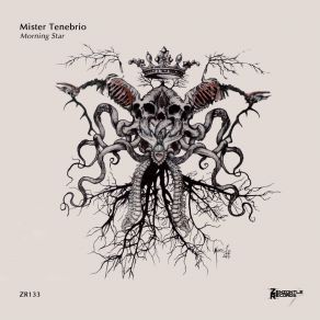 Download track Morning Star (Original Mix) Mister Tenebrio