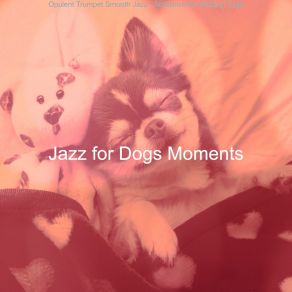 Download track Elegant Music For Contemplating Jazz For Dogs Moments