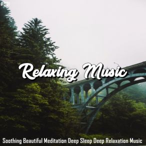 Download track Soothing Energy Meditation Music