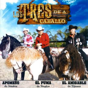 Download track El Sultán Los Tres De A Caballo