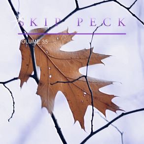 Download track A Little Optimistic Skip Peck