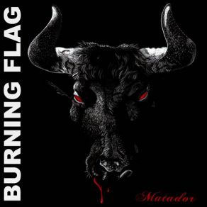 Download track All The While Burning Flag