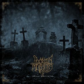 Download track ... Of Desolation Lacrima Mortis