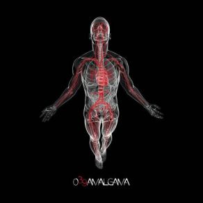 Download track Amalgama 039