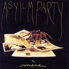 Download track Pure Joy In My Heart Asylum PartyPhilippe Planchon