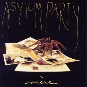 Download track Un Sang D'Hier Asylum PartyPascale Macé, Thierry Sobezyk