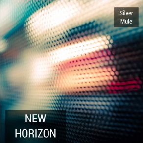 Download track New Horizon Silver Mule