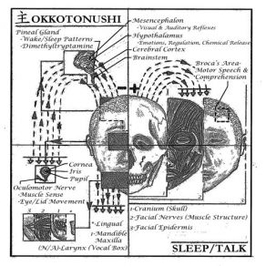 Download track Spindles Okkotonushi