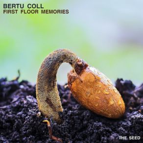 Download track First Floor Memories Bertu Coll