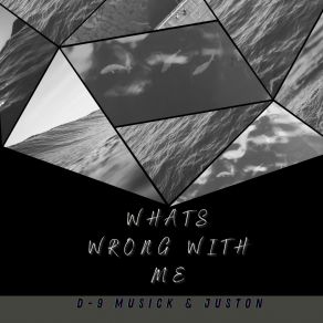 Download track What's Wrong With Me (Clean Version) Justron