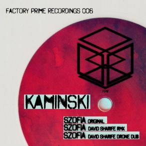 Download track Zsofia (David Sharife Drone Dub) KaminskiDavid Sharife