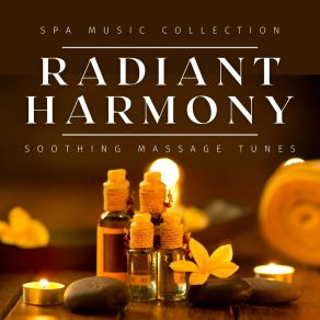 Download track Spa Relaxation Music Various Artists