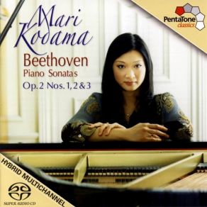 Download track 08 - Piano Sonata No. 9 In E Major, Op 14 - III. Rondo- Allegro Comodo Ludwig Van Beethoven