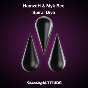 Download track Spiral Dive (Extended Mix) Hamzeh