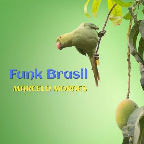 Download track Father's Beat Marcelo Moraes