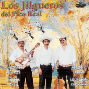 Download track La Dama Del Corvette Los Jilgueros Del Pico Real