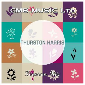 Download track I Hope You Won't Hold It Against Me (Original Mix) Thurston Harris
