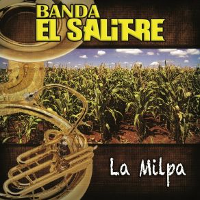 Download track Amores Por Correo Banda El Salitre