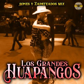 Download track Procesion Los Mejores Huapangos