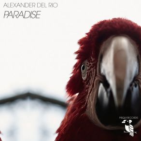 Download track Boa Tarde (Sonique Atlantique Mix) Alexander Del Rio