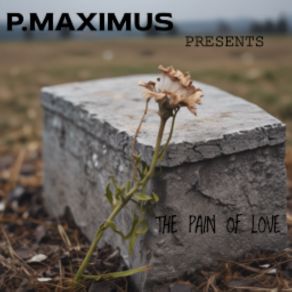 Download track Stay Baby P. MaximusClint Brown, Devone Brown