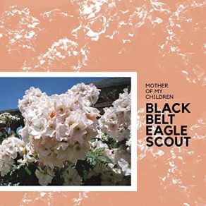 Download track I Don't Have You In My Life Black Belt, Eagle Scout