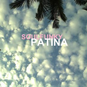 Download track Patina (Organ Dub) Soulfunky