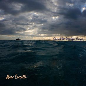 Download track She's Not Like This Wooo Marc Ceccotti