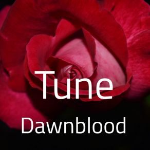 Download track Jazzy Juice Dawnblood