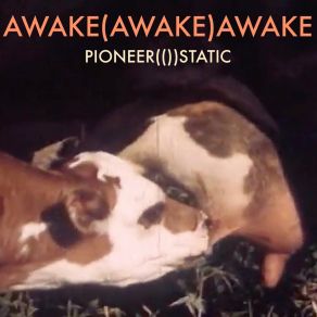 Download track Unbecoming Pioneer Static