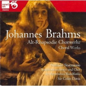 Download track 8. Marienlieder Op. 22 - Der Jager Johannes Brahms