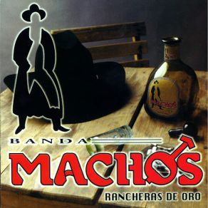 Download track Corazón Usado Banda Machos