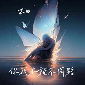 Download track 你我本就不同路 (和声伴奏版) 苏四