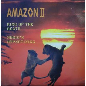 Download track King Of The Beats Amazon II