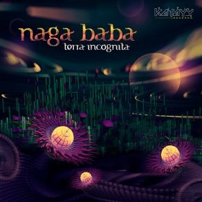 Download track Unexpected Behaviour (Original Mix) Naga Baba