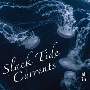 Download track Exclamation Point Slack Tide Currents