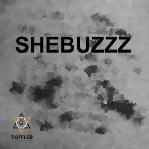 Download track The Narrative (Original Mix) ShebuzzzDubRaJah